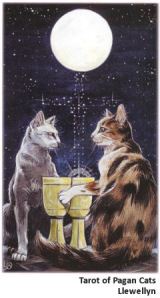 pagancats