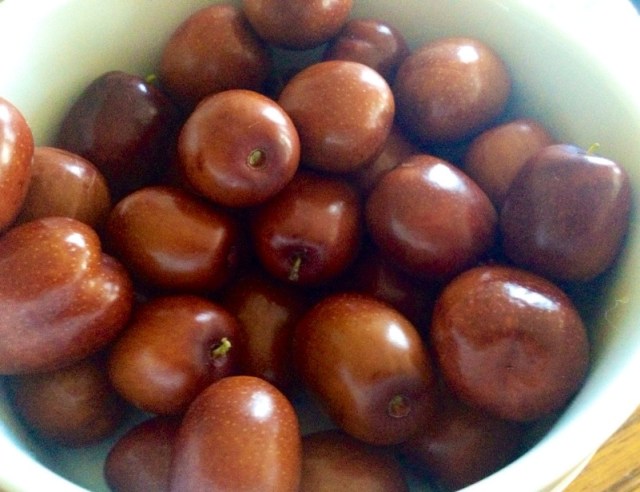 Harvested jujubes, late fall.