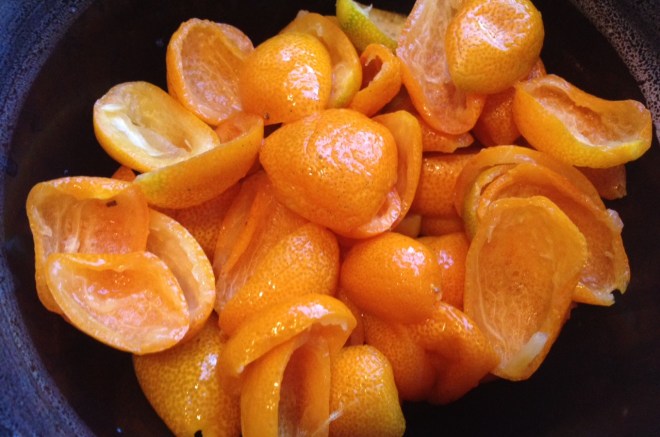 CandiedKumquats_1 Peeled and Chopped