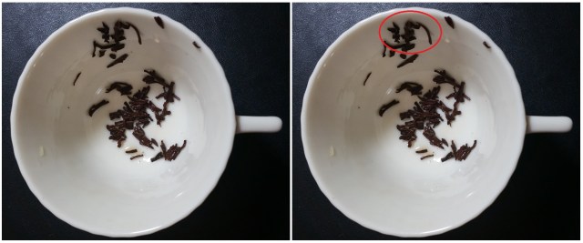 2015.08.09 Tabitha Dial Tea Leaf Reading 2 (Bat)