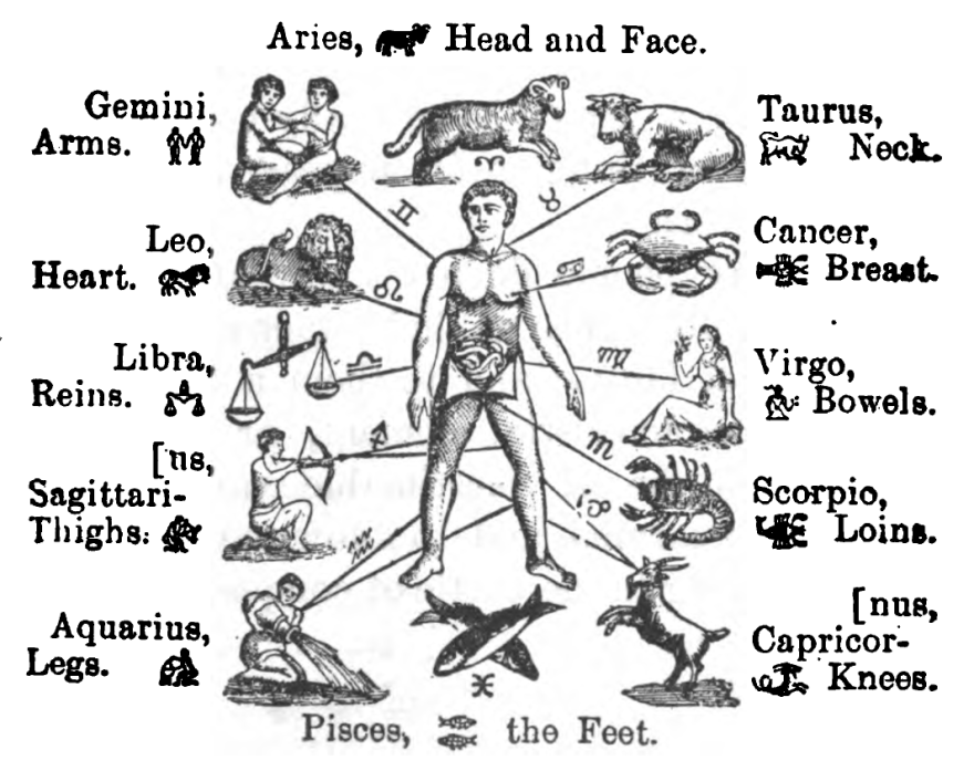 The Twelve Signs | benebell wen