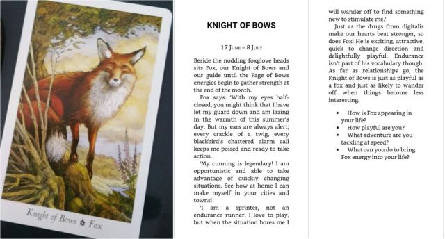 11 Knight of Bows (Wildwood)