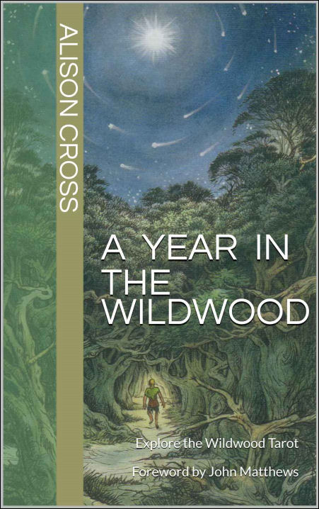 A Year in the Wildwood by Alison Cross | benebell wen