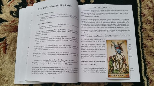 going-beyond-the-little-white-book-liz-worth-10