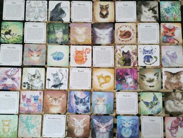 spirit-cats-oracle-deck-by-nicole-piar-13
